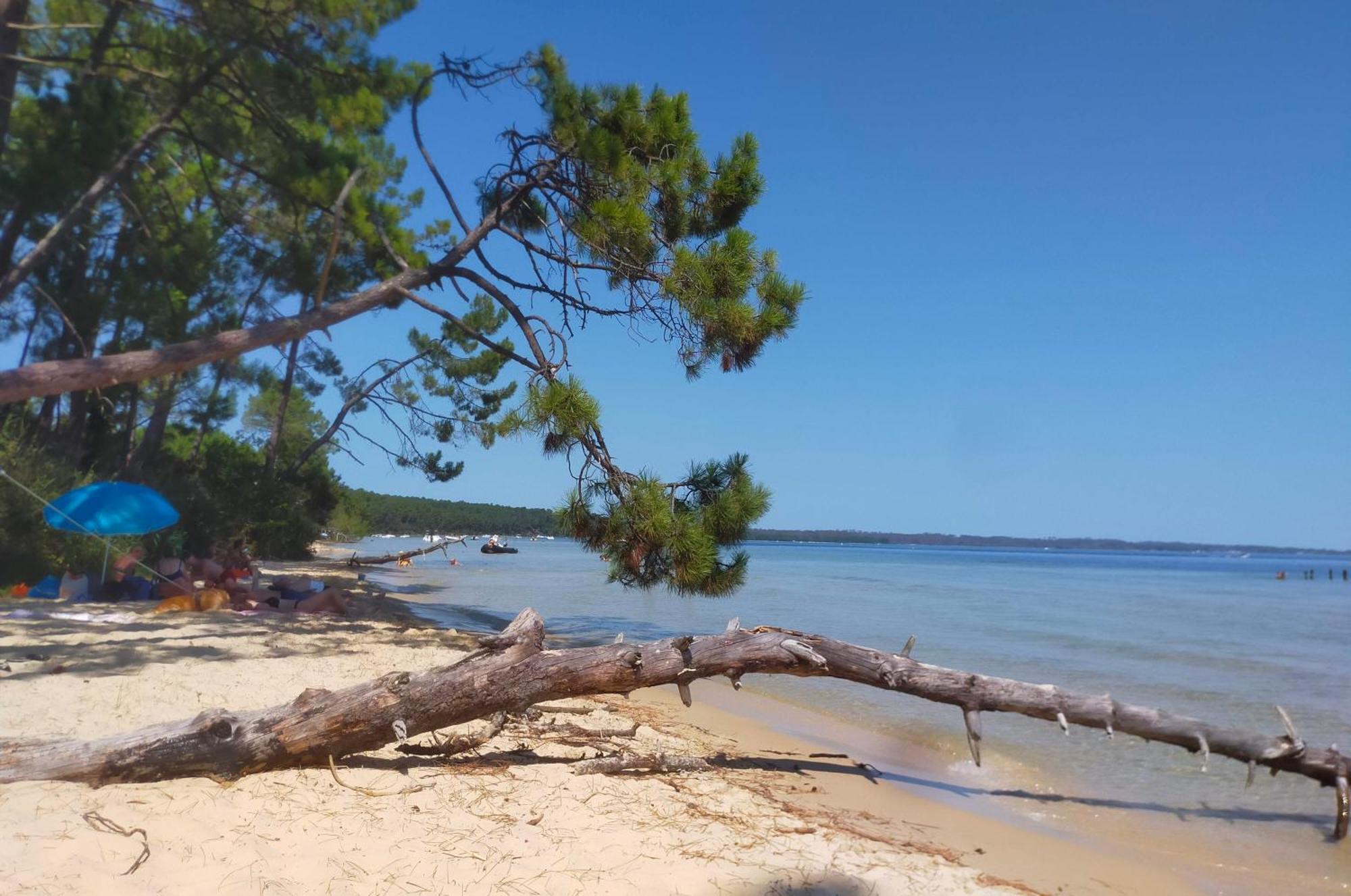 La Chambre De Seraphine Biscarrosse Εξωτερικό φωτογραφία